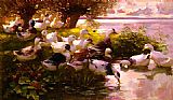 Lake Canvas Paintings - Max Ducks On A Lake